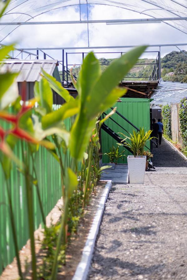 Glamz Hills Hotel Cao nguyên Cameron Ngoại thất bức ảnh