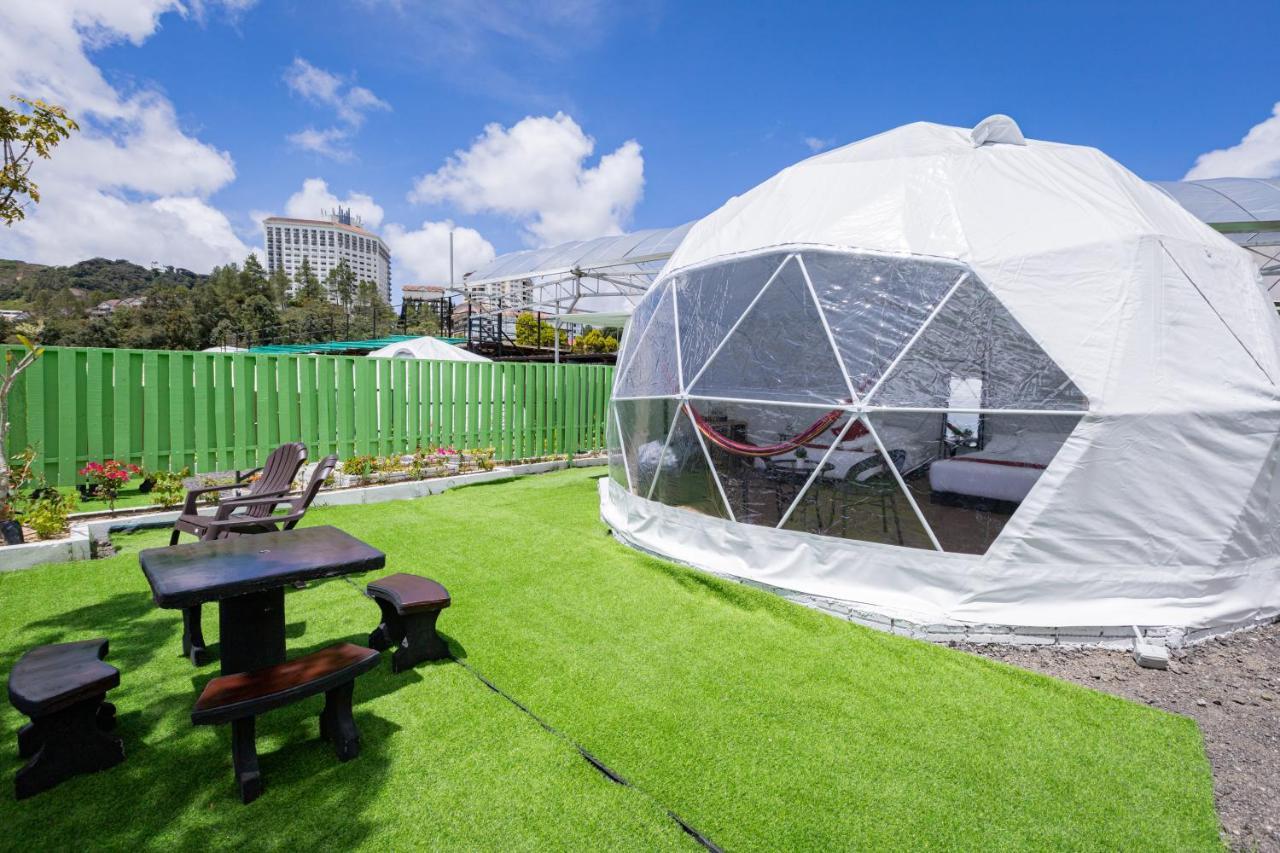 Glamz Hills Hotel Cao nguyên Cameron Ngoại thất bức ảnh