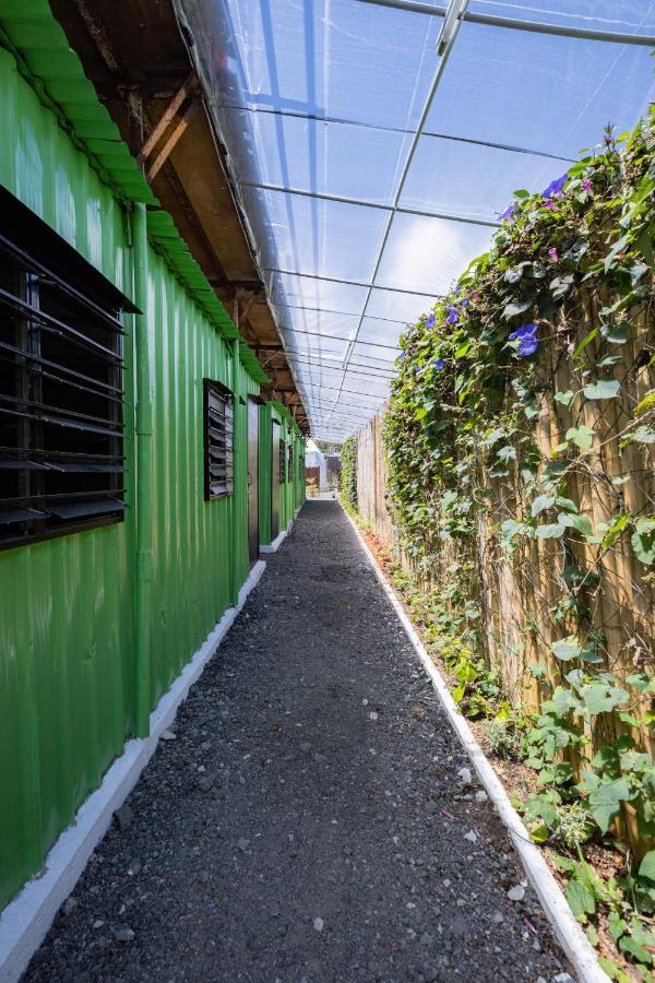 Glamz Hills Hotel Cao nguyên Cameron Ngoại thất bức ảnh