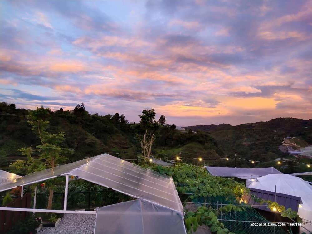 Glamz Hills Hotel Cao nguyên Cameron Ngoại thất bức ảnh